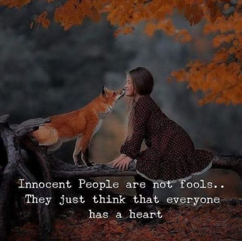 Innocent people are not fools.. —via https://ift.tt/2eY7hg4