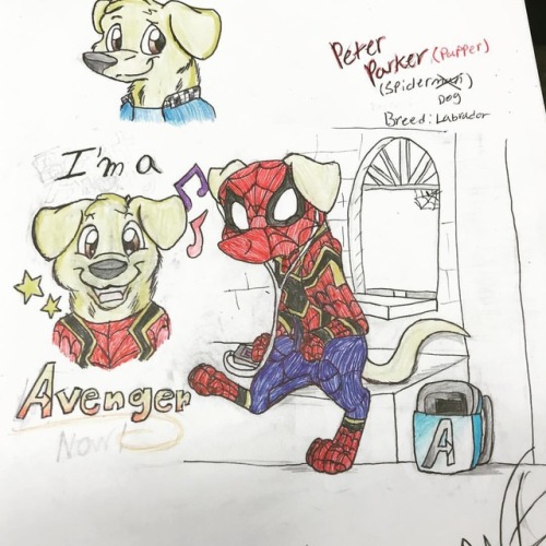 Peter Parker SpiderDog #infinitywar #furryart #marvel...