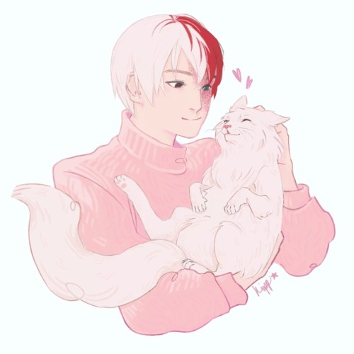 kippdipp:Soft™ Todoroki for @gintnyama !!!