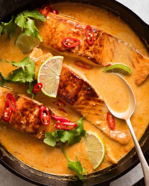 daily-deliciousness:Poached salmon in coconut lime sauce