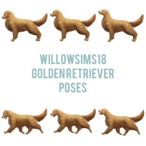 willowsims18