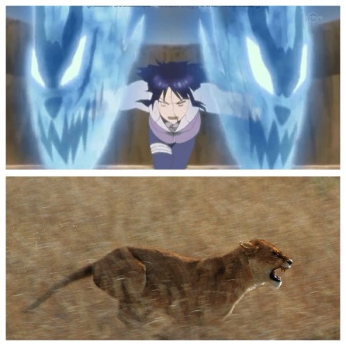 littleredbanana:Hinata Hyuga, Lioness of the Leaf (bonus...