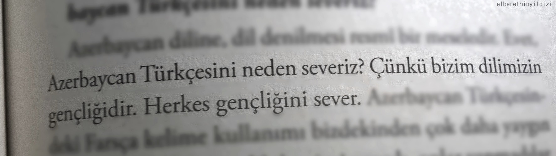 herkes sever Tumblr