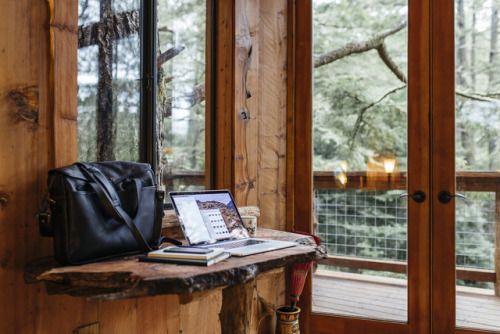 eagles nest treehouse cozyhome warm and cozy glamping treehouse living outdoor living forest redwood architecture photographers on tumblr filson vsco film hipcamp