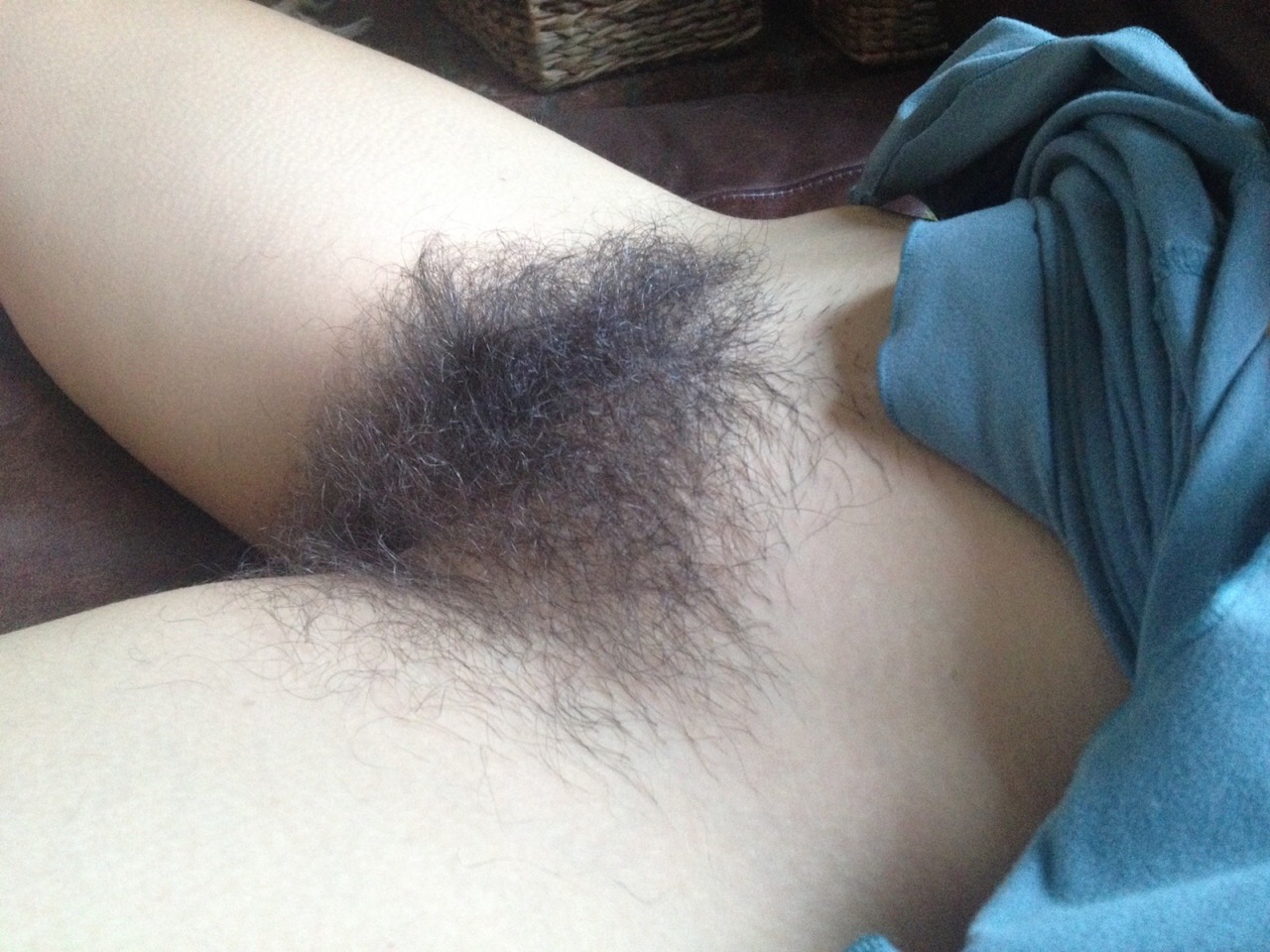 Hairy Hairy Bush 97