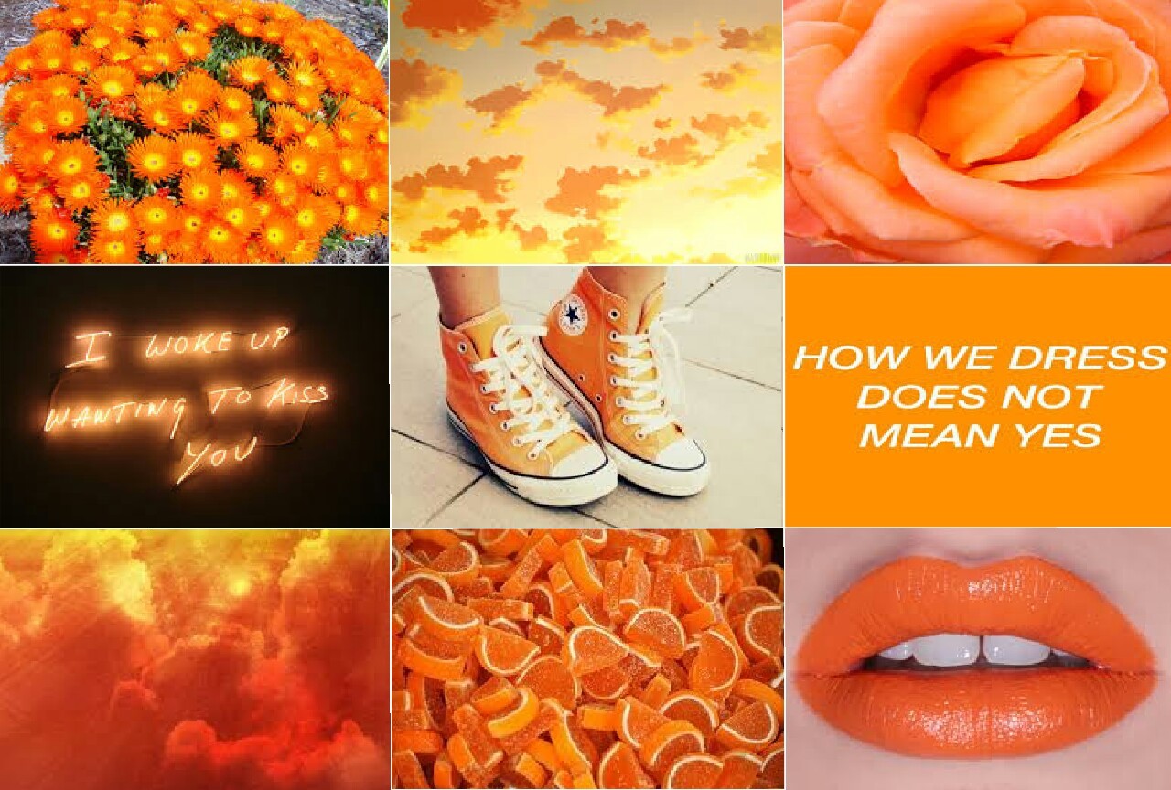 orange mood board