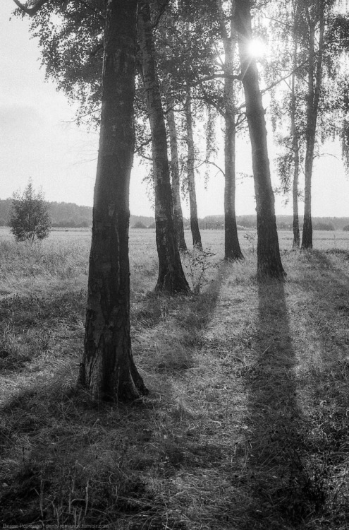 denis-romanov