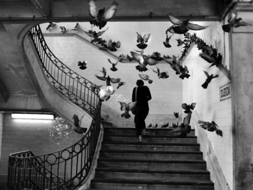 iosonorockmaballoiltango:Henri Cartier Bresson