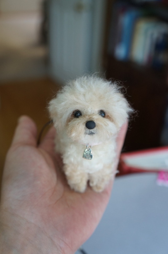 Puppies In Teacups Tumblr