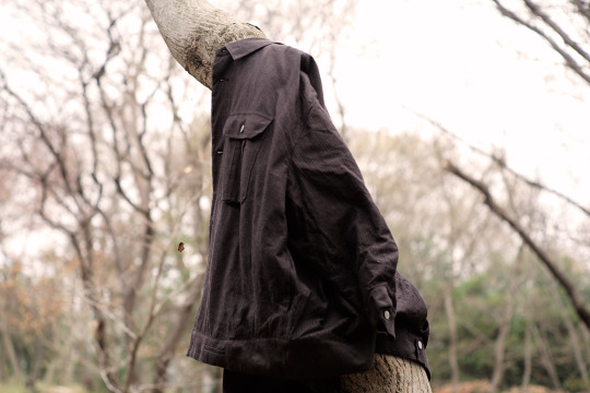 BLACKBIRD – prog jacket- | WHITE ALBUM.