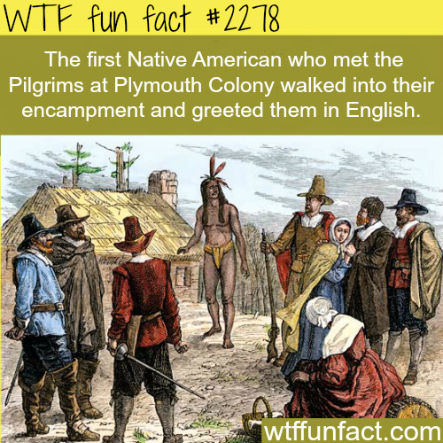 The First Native American Who Met The Pilgrims