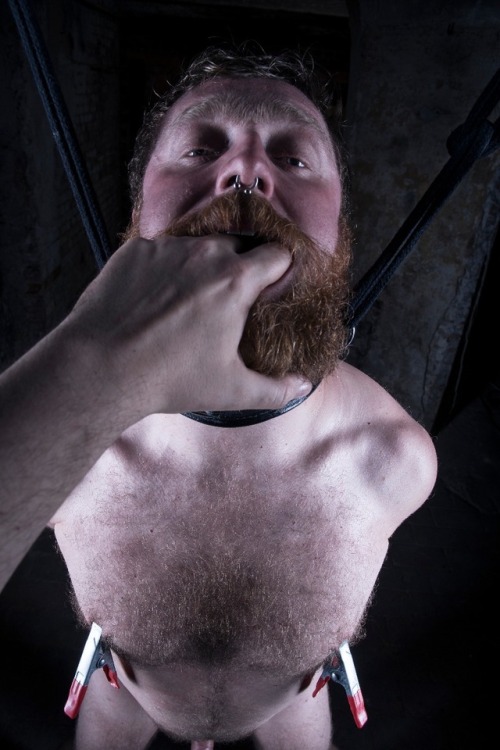 andrewbillroberts:#BDSM #Ginger #Sleaze #rope #bondage #gaybdsm...