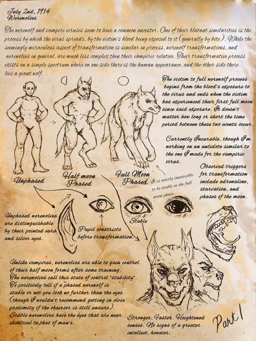 journal art fantasy werewolf educational monster monsters werewolves biology science halloween artists on tumblr quil& 039;s journal