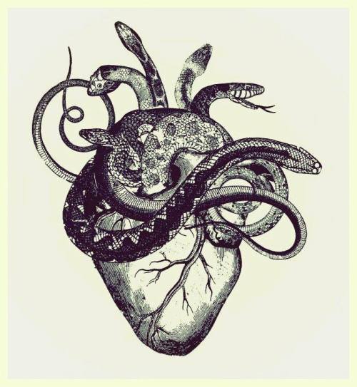 skindeeptales:Heart tattoo ideasvia My Stormy Heart