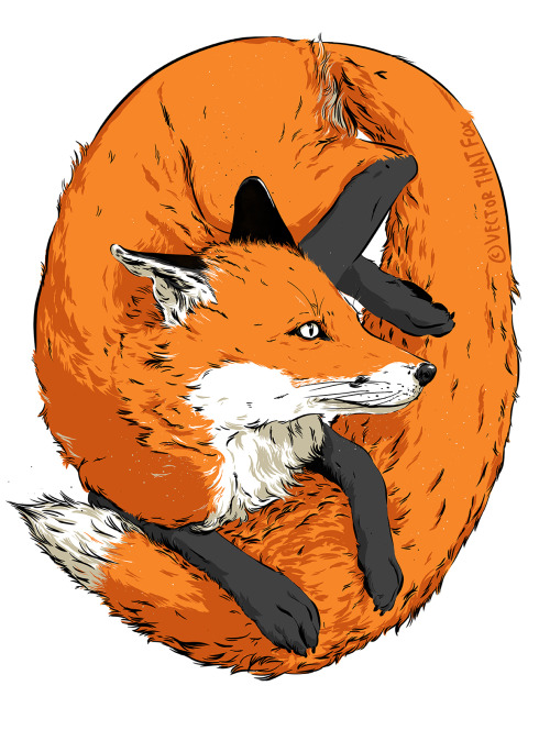 fox drawing on Tumblr