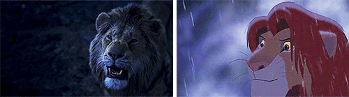 Résultat de recherche d'images pour "lion king 1994 2019 gif"