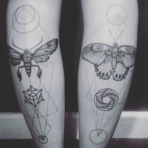 dotwork butterfly | Tumblr