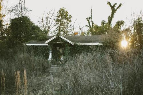 abandonedandurbex:Nature in the process of completely swallowing...