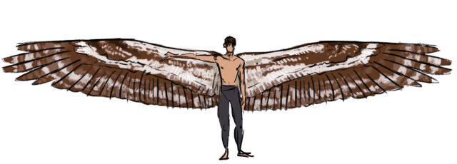 largest wingspan
