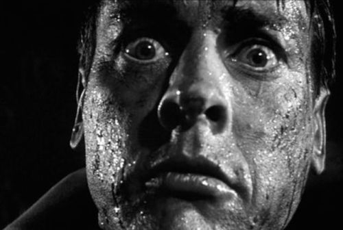 swampthingy:Invasion of the Body Snatchers (1956)