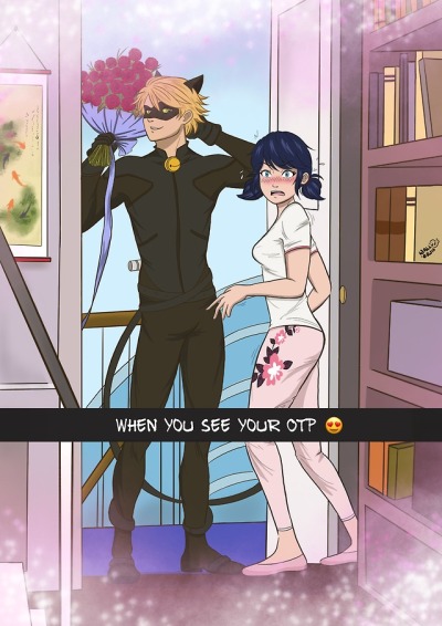 Ladybug And Chat Noir Tumblr