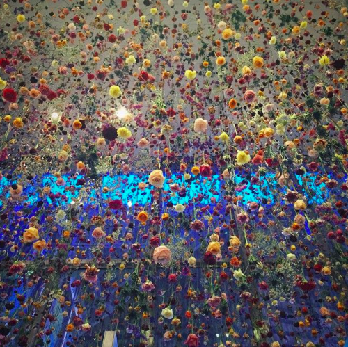 Always bring flowers, Rebecca Louise Law