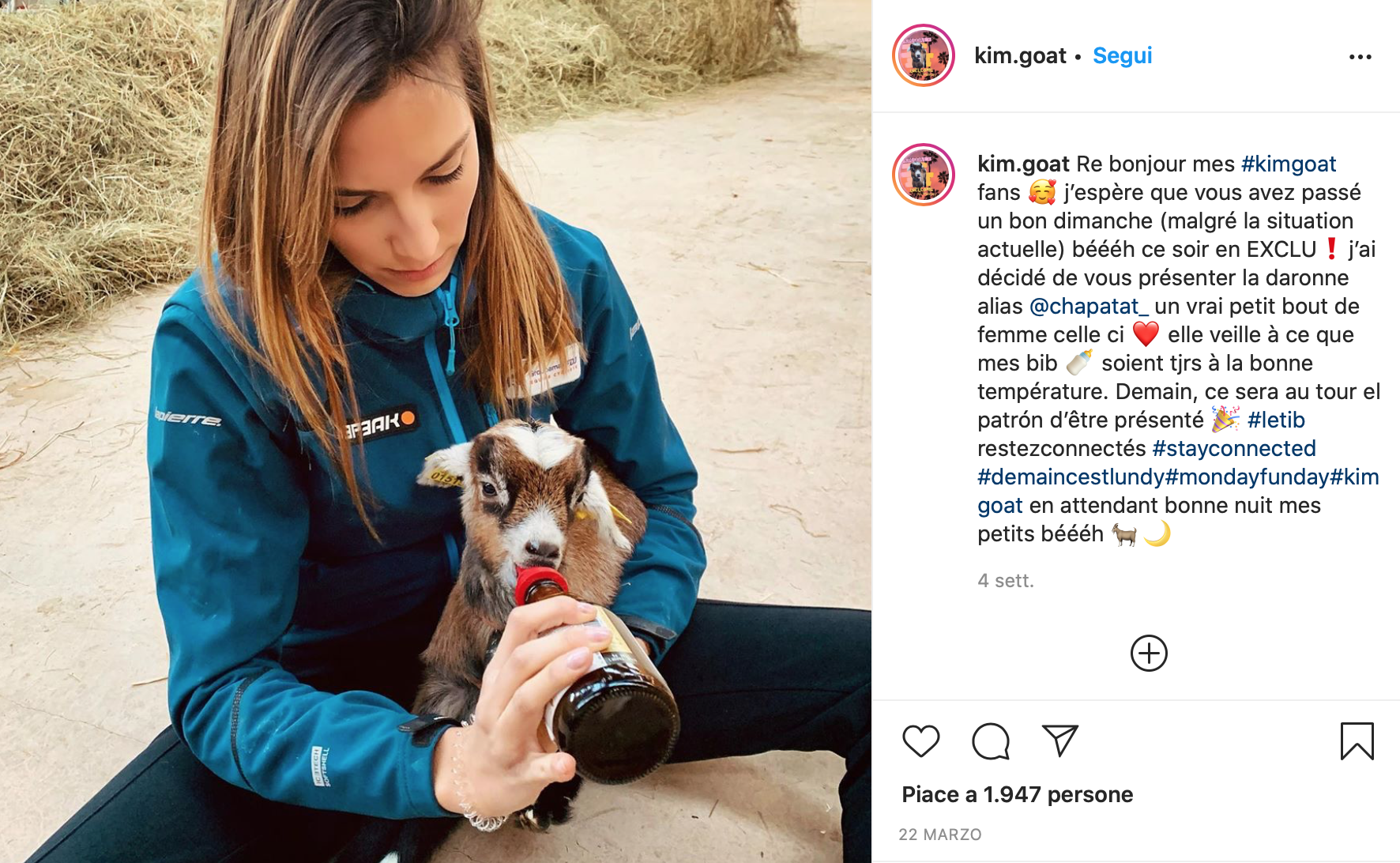 Il Profilo Instagram Della Capretta Di Pinot E Una Favola Bidon