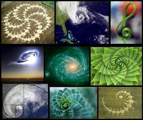 Ancient Time News: Sacred Geometry: Nature works in spirals..