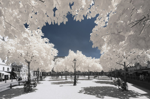 nevver:Paris Infrared, Pierre-Louis Ferrer