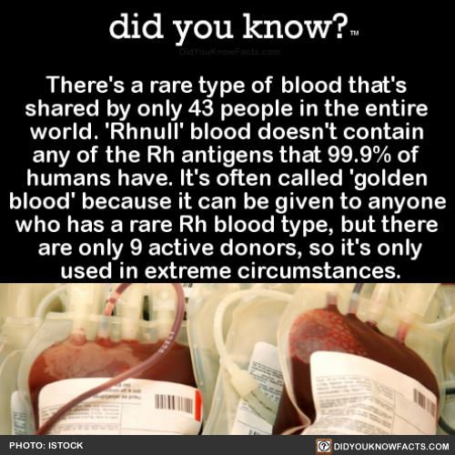 did-you-kno:There’s a rare type of blood that’s shared by...