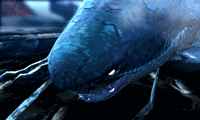 tumblr_ndzcnfJRBL1tafr4io2_250.gif
