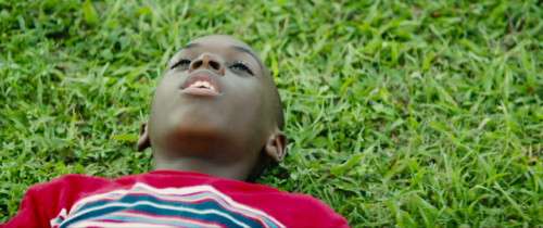 glasscreature:moonlight, dir. barry jenkins // predatory wasp...