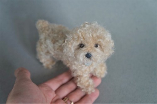 janetsneedlefelting:A needle felted #Cockapoo with a big...