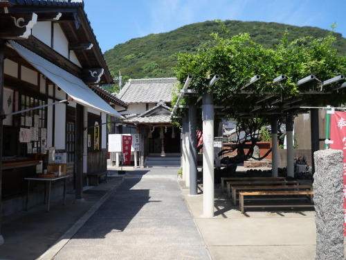 minna-isoideiru