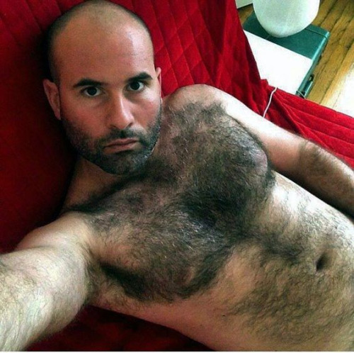 Gay & Hairy