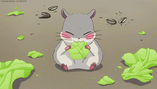 Koi wa Ameagari no You ni After the rain anime food lettuce hamster eating kawaii cute anime ilme japan japanese