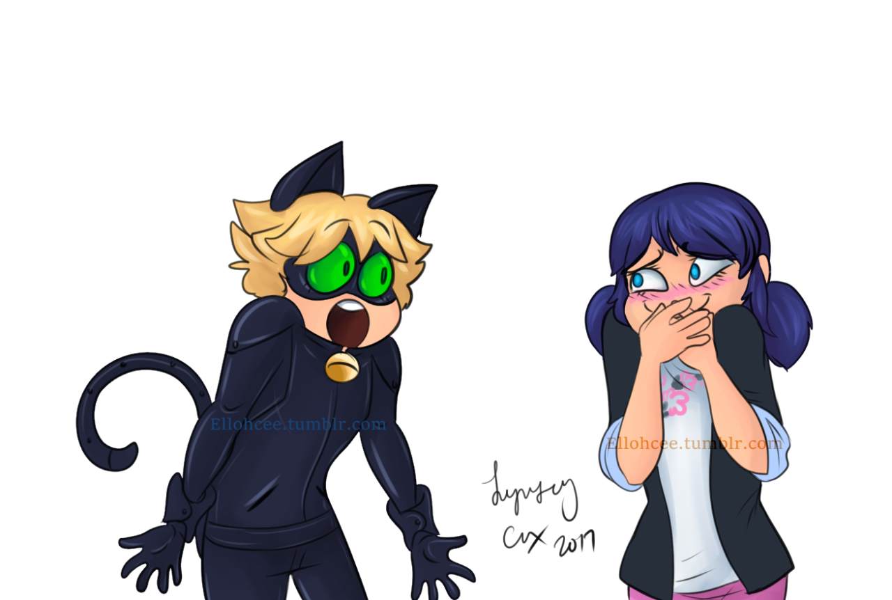 Marinette Dupain-cheng, Chat Noir, Marichat. 