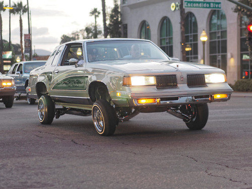 nsdclassic:Assorted Lowriders