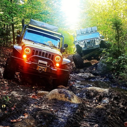 Jeep Dreamin