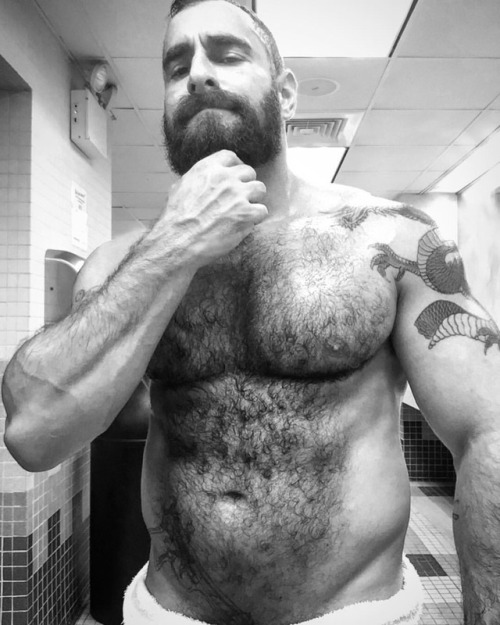 Bears, Muscle, Daddies, Fur