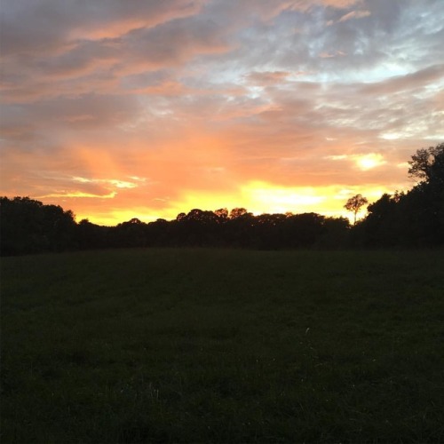 Sunset over the hayfield last night....