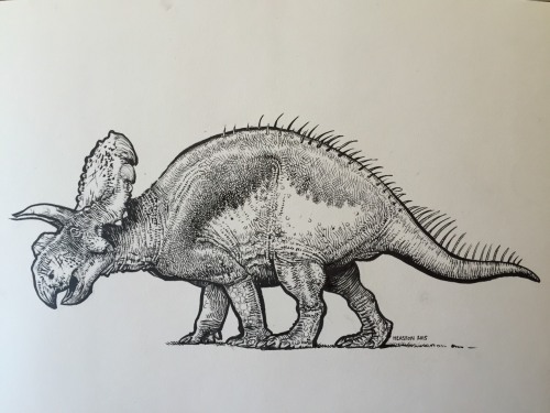 pheastonart:Albertaceratops, Pentel pocket brush pen....