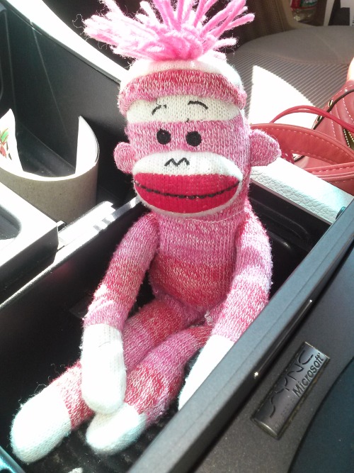 pink sock monkey