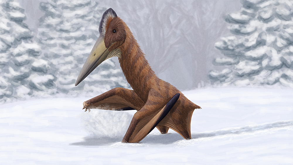 azhdarchid pterosaurs