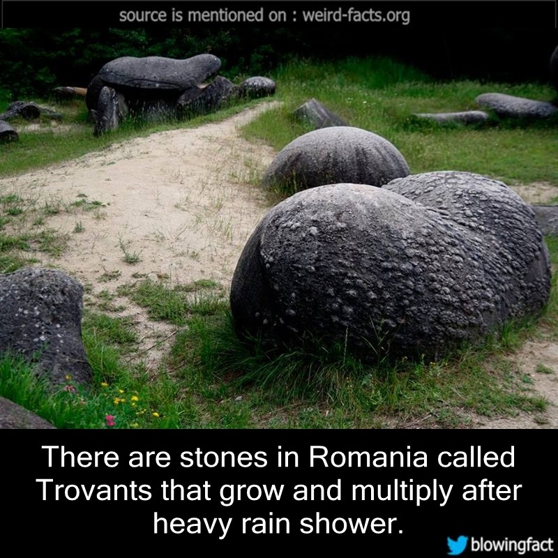 Weird Facts — There Are Stones In Romania Called Trovants That