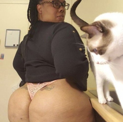 bigowilly:Even th cat approves of the booty!