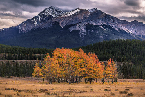 jswanstromphotography:Autumn Visions • WIN $100 by Landscape...