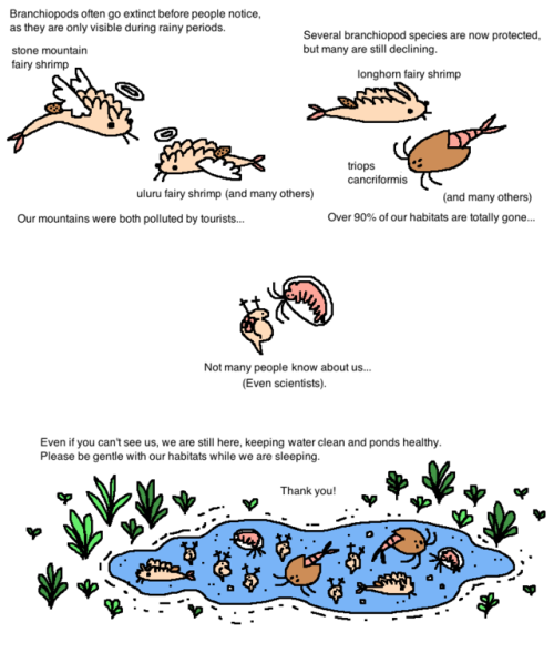 mossworm