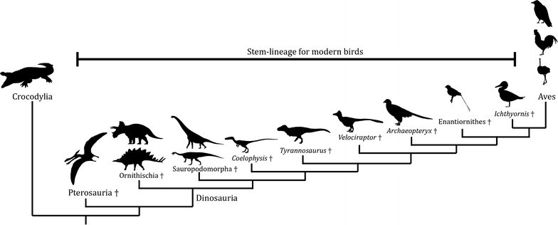 Extinction Illustrated