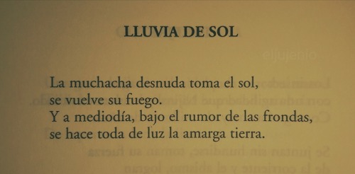 el-jujeniodeletras:José Emilio Pacheco. Lluvia de sol. Ciudad...